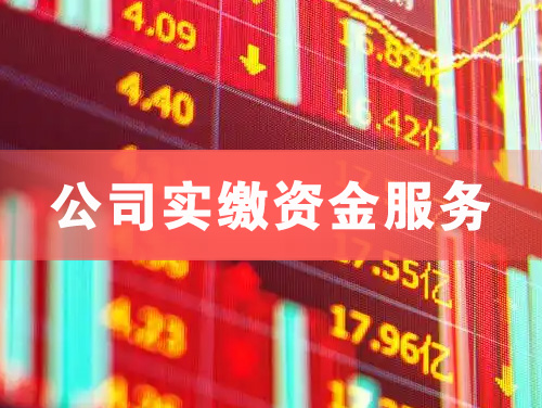 高邮公司实缴资金服务